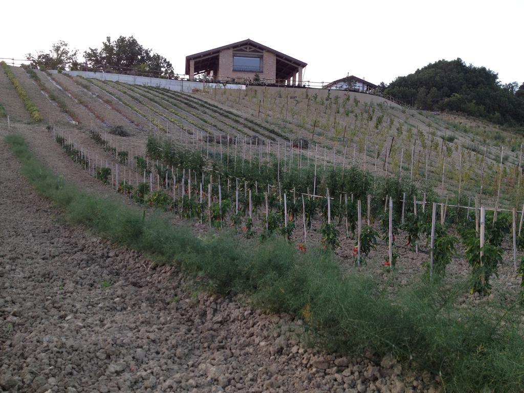 Agriturismo Alba Del Borgo Fidenza Ngoại thất bức ảnh